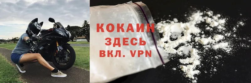 Cocaine VHQ Каргат